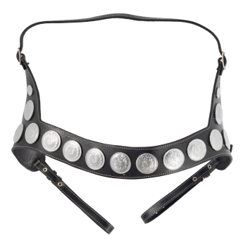 Επιστήθιο 'SHINY'