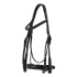 Double Bridle