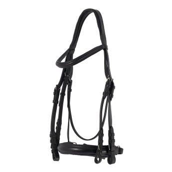 Double Bridle