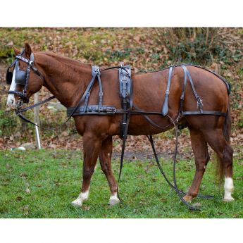 Marathon Harness ARGY'S ART