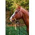 Bosal Western 'ARGY'S ART'