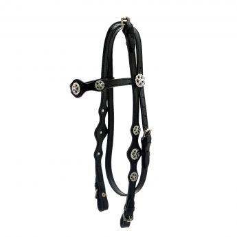 Western Bridle Argy's Art " ALL STAR"