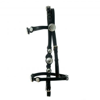 Western Bridle Argy's Art