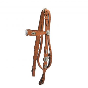 Western Bridle Argy's Art