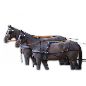 Carriage Harness for Two Horses