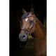 English Bridle Eric Thomas Pro 'DESIGN'
