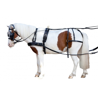 Single harness PFIFF "Mini Shettland Pony"