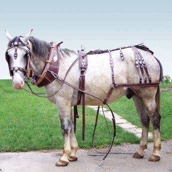 Σετ Άμαξας με Τραβηχτά, Argy’s Art