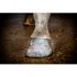 Hoof Polish with Glitter for Horses ''Excellent''