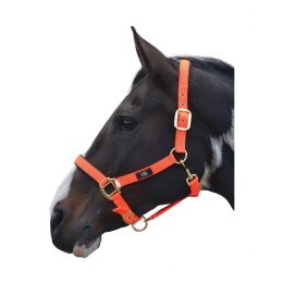 Grand Prix Head Collar Hy