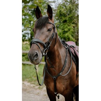 Χαλινό Endurance "POP" NORTON