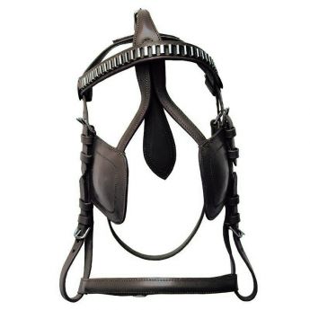 Χαλινό Με Παρωπίδες Άμαξας ECONOMIC