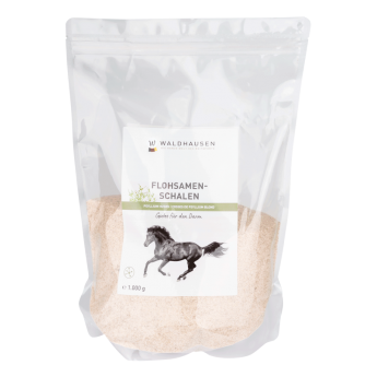 Ψύλλιο Waldhausen