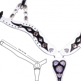 Επιστήθιο Western Argy's Art "Show"