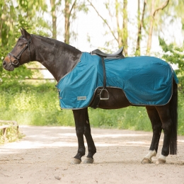 Anti-Fly Riding Out Sheet Protect