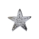 Metal Decorative "Carved Star"