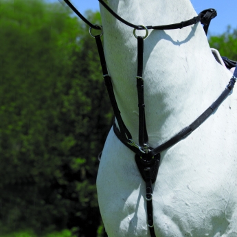 Δερμάτινο Επιστήθιο Waldhausen