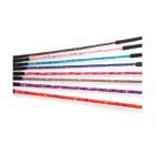 HySchool Silver Riding Whip