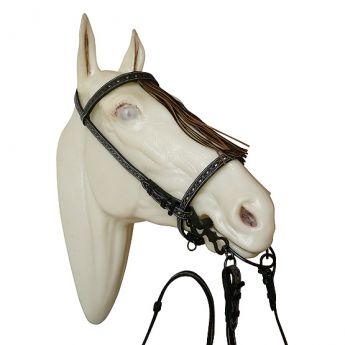 Ισπανικό Χαλινό "Economy"