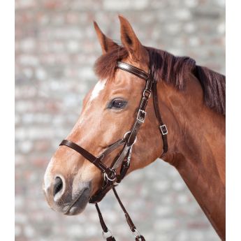 Bitless Bridle "STAR 2"