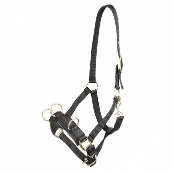 Nylon Cavesson with Brass Fittings