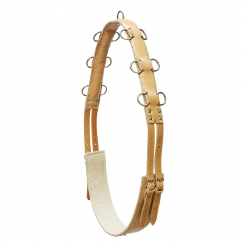 Training Surcingle Argy's Art