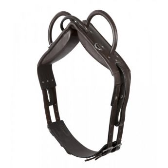 Vaulting Roller, leather