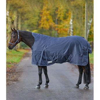 Turnout Rug Economic with High Neck, 200g