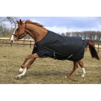 Winter Blanket RugBe IceProtect 200