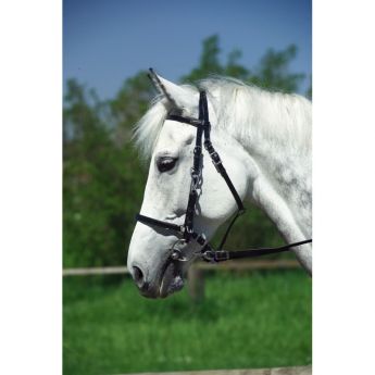 Συνθετικό Χαλινό/Καπίστρι NORTON