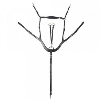 Επιστήθιο με Μάρτινγκαλ