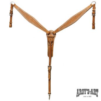 Επιστήθιο Western Argy's Art