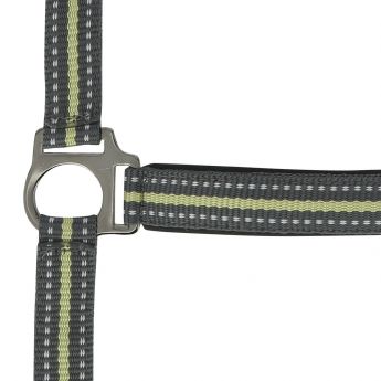 Nylon Halter NORTON
