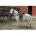 Σέλα Western για Shetland Pony "TOPEKA"