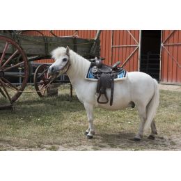 Western Saddle for Shetland pony "TOPEKA"