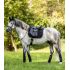 Saddle Pad 'DRESSAGE"