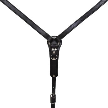 Επιστήθιο 'Argy's Art'